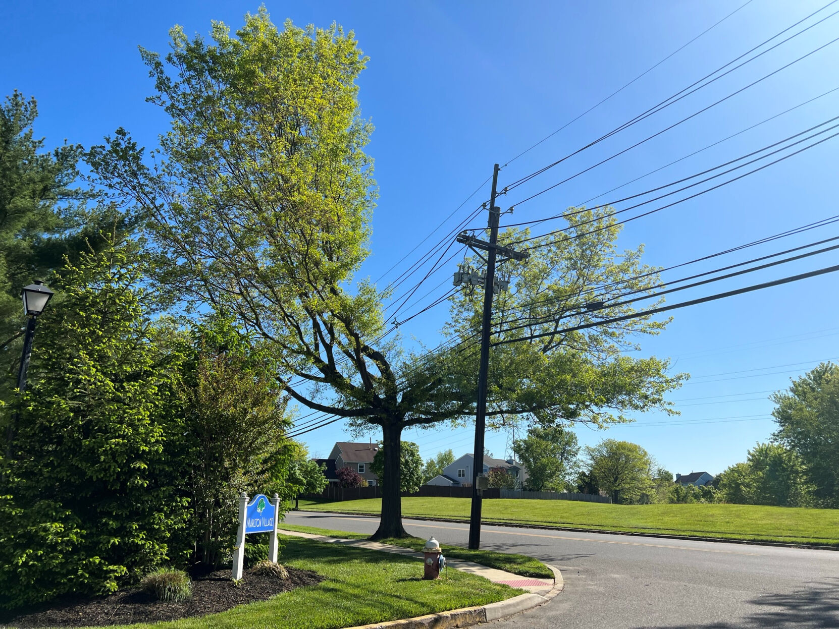 05102022 Y TREE